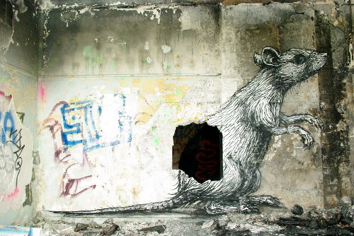 roa ratte paris streetart roa ratte paris streetart